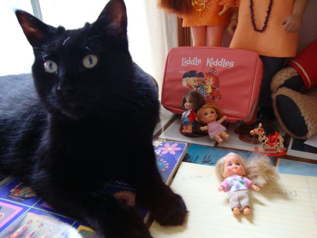 William has no interest in the tiny dolls!