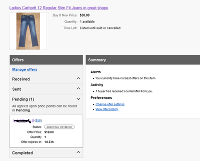 Screenshot 2024-04-28 at 20-06-47 Ladies Carhartt 12 Regular Slim Fit Jeans in great shape - manage offers eBay.png